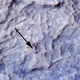 X marks the spot: the Curiosity Rover as seen from orbit (Image: NASA/JPL/University of Arizona)